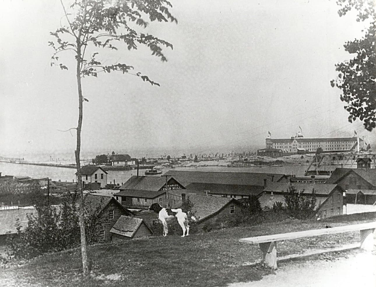 Historic St. Joseph photograph 4